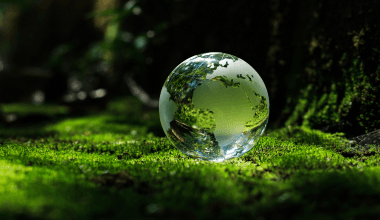 ESG e Sustentabilidade