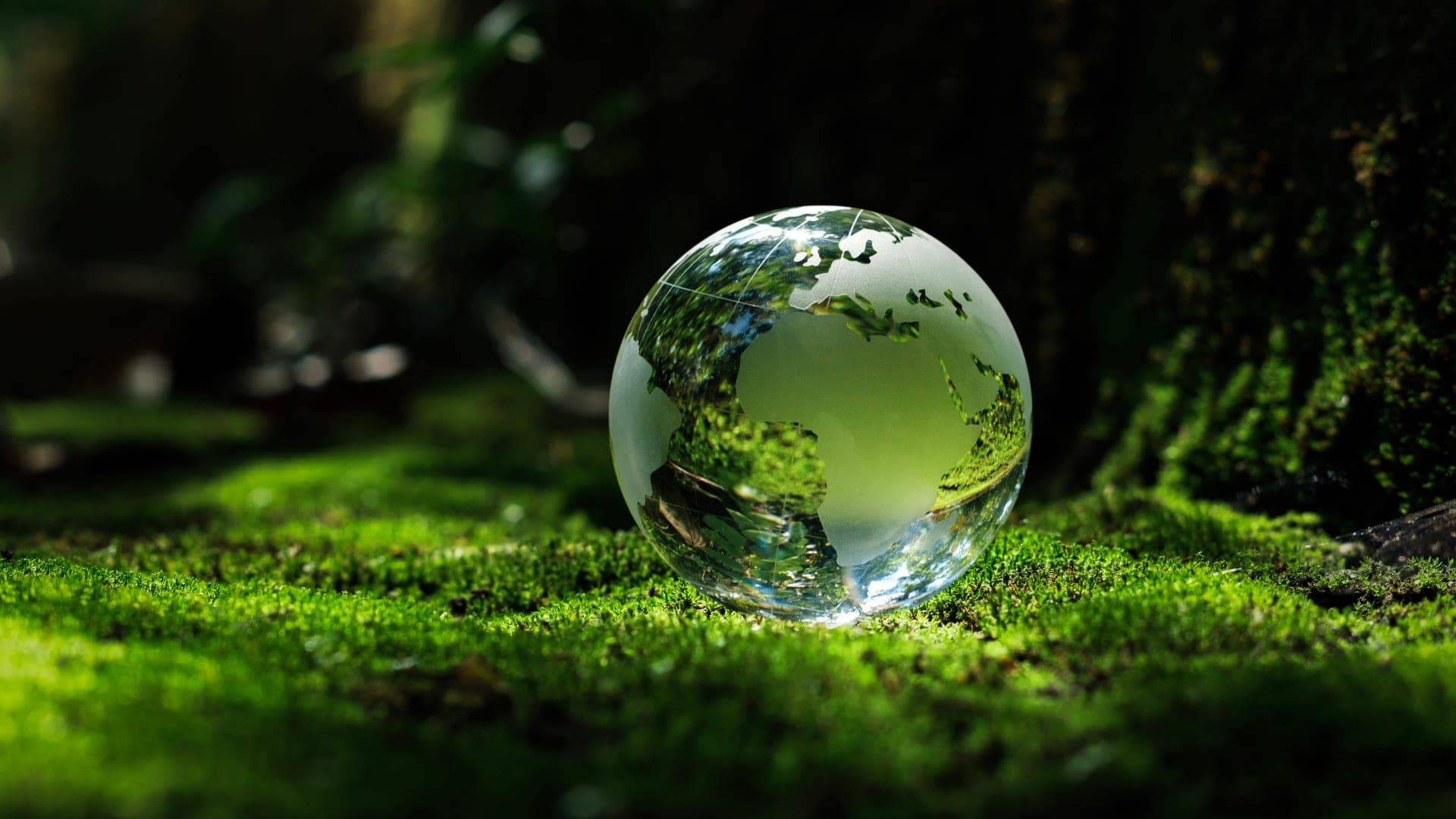 ESG e Sustentabilidade